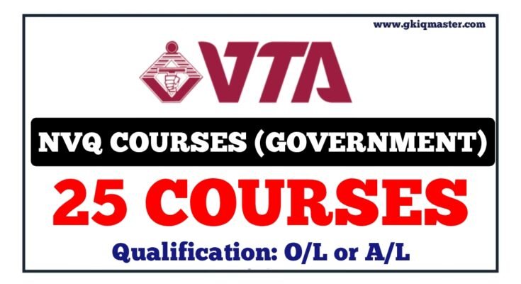 NVQ Courses 2024 VTA   Polish 20231207 172857361 735x400 