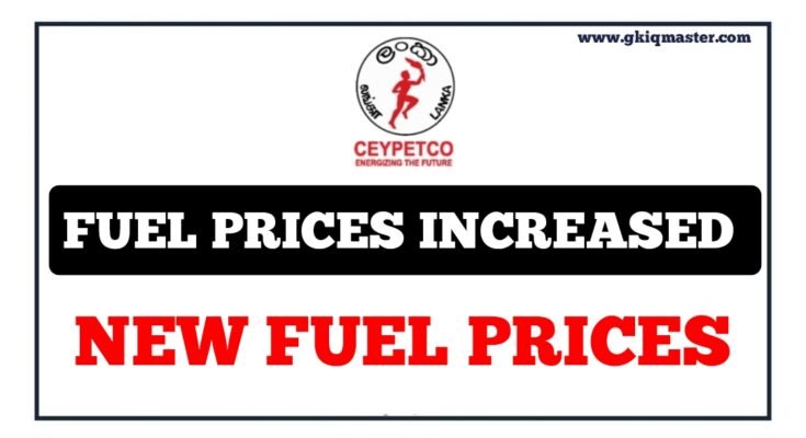 New Fuel Prices   Polish 20240101 085251286 735x400 