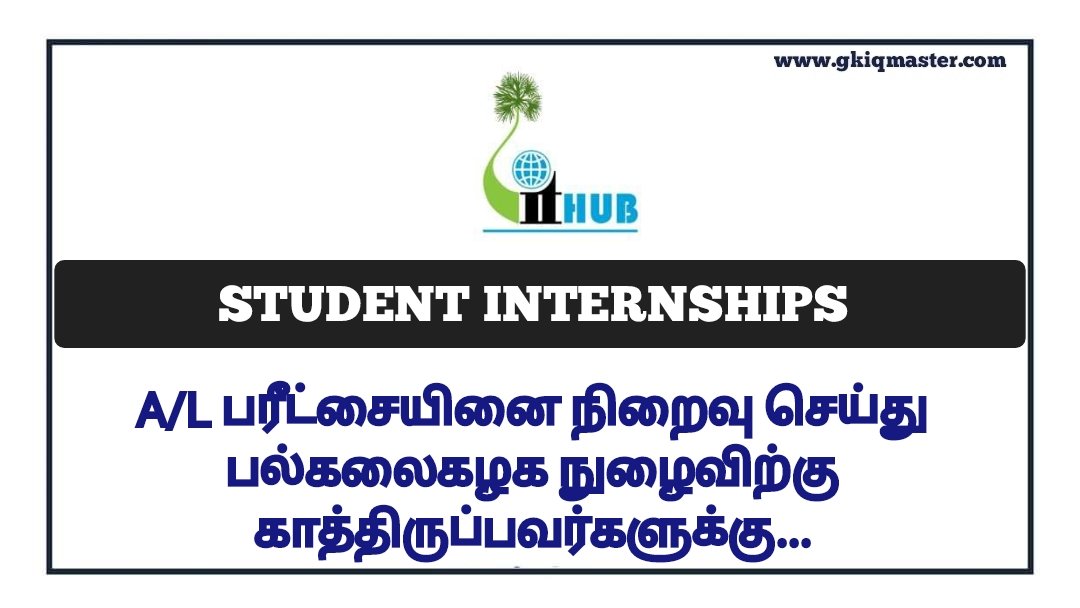 Student Internships 2024