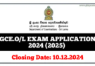 GCE ordinary level exam application 2025 department of examinations