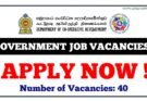 Government Job Vacancies