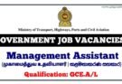 Government Job Vacancies management Assistant ministry of transport