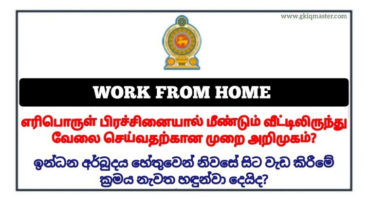 Government Considers Work-From-Home to Save Fuel